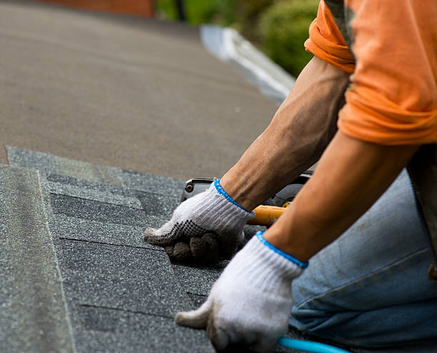 Quick and Trustworthy Emergency Roof Repair Services in Rochester, MN