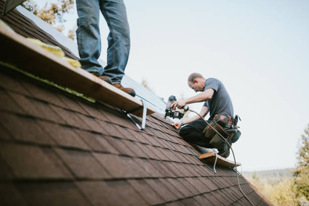 Best Metal Roofing Contractor  in Rochester, MN
