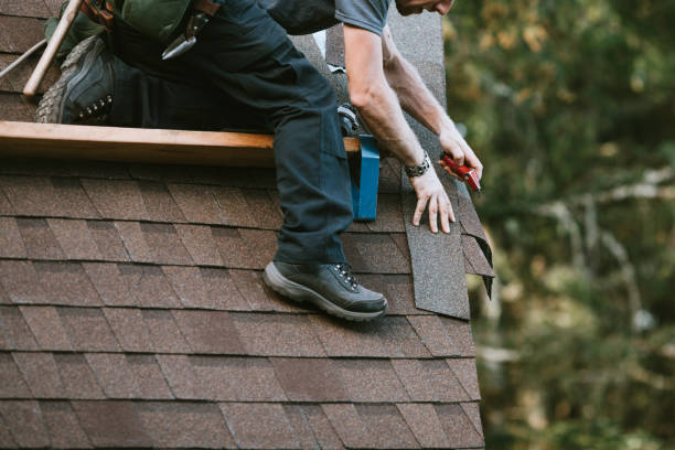 Best Roof Leak Repair  in Rochester, MN
